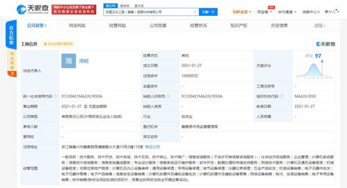 計(jì)算機(jī)系統(tǒng)服務(wù) 數(shù)字化時(shí)代的企業(yè)基石